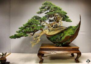 cách làm chậu bonsai thủ công