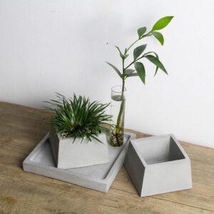 cách làm chậu bonsai thủ công