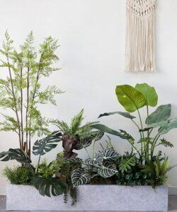 cây cảnh theo phong cách