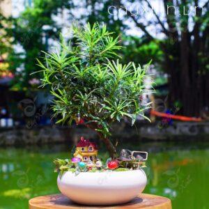 cây và kỷ niệm tuổi thơ