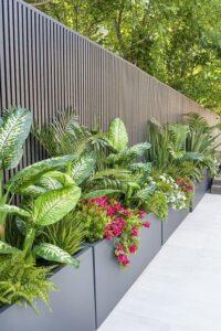 cây xanh và ánh sáng tự nhiên