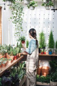 không gian nhỏ vẫn làm vườn được