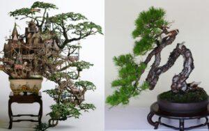 lịch sử nghệ thuật bonsai