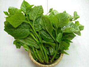 rau sạch hữu cơ