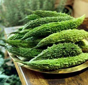 sâu bệnh rau ban công