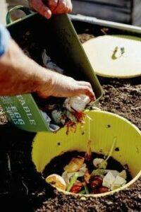 tự làm phân compost tại nhà