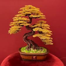ý nghĩa tâm linh bonsai
