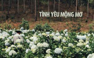 yêu lại từ một chiếc lá