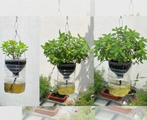 cách ủ phân hữu cơ từ rác thải sinh hoạt