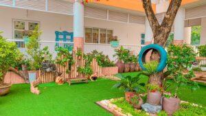 cỏ trang trí vườn không cần cắt 