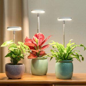 đèn grow light trồng cây trong nhà