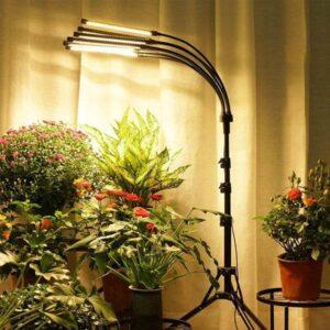 đèn grow light trồng cây trong nhà