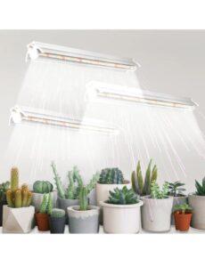 đèn grow light trồng cây trong nhà