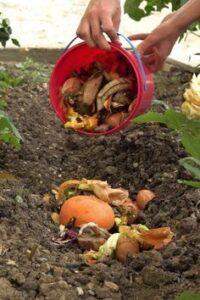 làm compost tại nhà