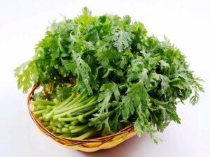 làm phân hữu cơ từ vỏ rau củ
