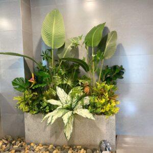 nhiệt kế & ẩm kế cho cây