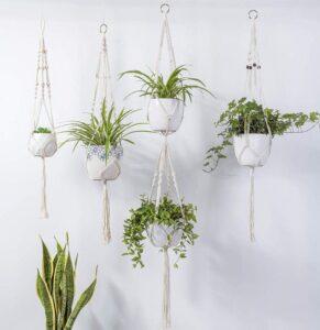 phụ kiện trang trí chậu cây