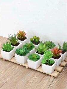 phụ kiện trang trí chậu cây
