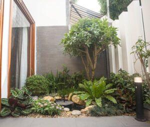 vườn Zen trong nhà phố