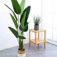 Cách xịt sạch lá cây