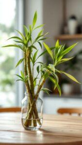Cây thủy sinh lọc khí