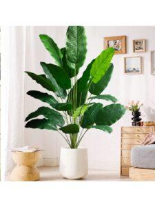 Cây xanh decor nhà