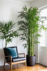 Cây xanh lọc khí
