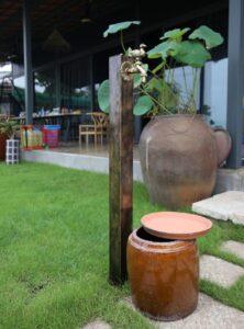 Cỏ trang trí ít cần nước