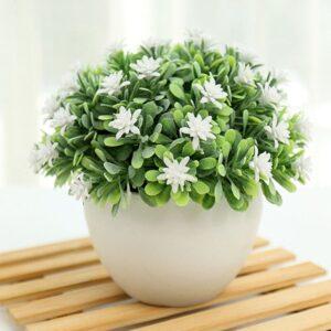 Dưỡng bóng lá cây