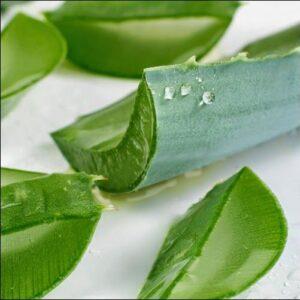Nước rửa lá cây