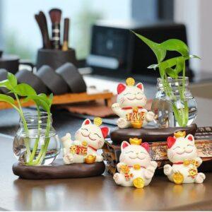 bình thủy sinh decor