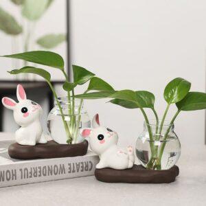 bình thủy sinh decor