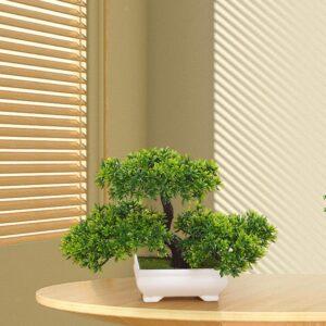 cắt tỉa cây cảnh