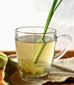 cây trị tiêu hóa kém