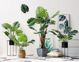 cây trồng hữu ích