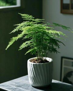 cây trồng hữu ích
