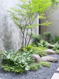cây xanh sân vườn