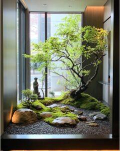 Cây bonsai phong thủy