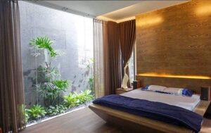 Cây cảnh để phòng ngủ
