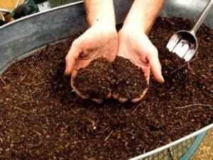 Compost tại nhà