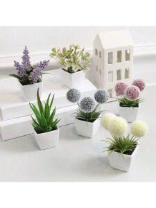 Decor cây mini
