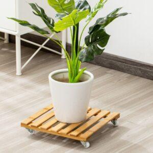 Khay trồng cây để bàn
