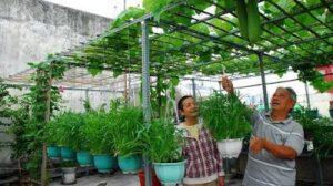 Làm vườn sáng tạo