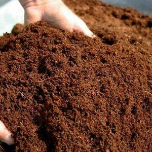 Lợi ích phân hữu cơ tự làm