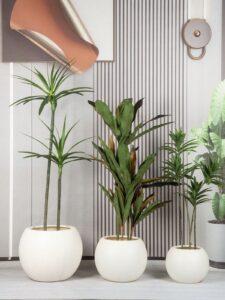 Phụ kiện trang trí chậu cây