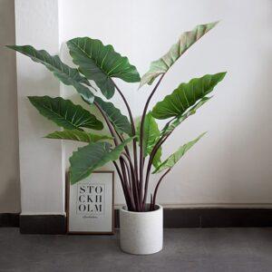 Phụ kiện trang trí chậu cây