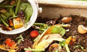 Tự ủ phân compost