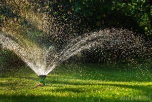 Tưới nước tiết kiệm