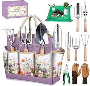 Xẻng xúc đất mini