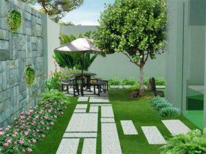 cỏ họa mi trang trí